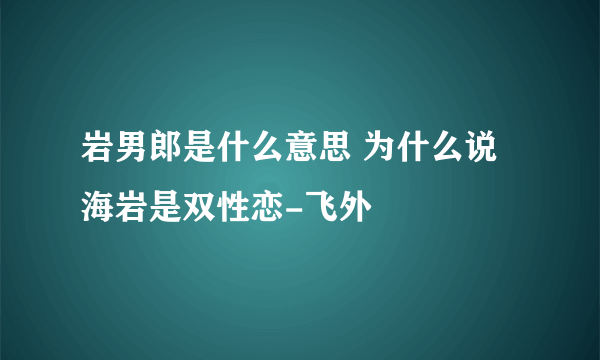 岩男郎是什么意思 为什么说海岩是双性恋-飞外