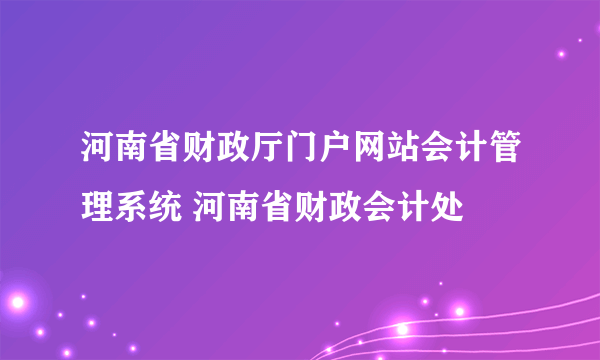 河南省财政厅门户网站会计管理系统 河南省财政会计处