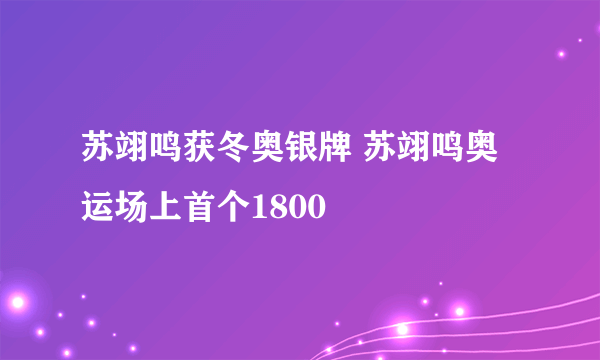 苏翊鸣获冬奥银牌 苏翊鸣奥运场上首个1800