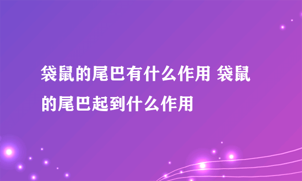 袋鼠的尾巴有什么作用 袋鼠的尾巴起到什么作用