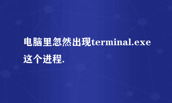 电脑里忽然出现terminal.exe这个进程.