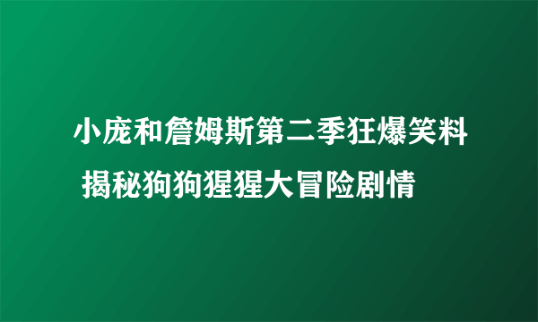 小庞和詹姆斯第二季狂爆笑料 揭秘狗狗猩猩大冒险剧情