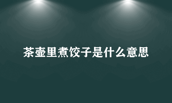 茶壶里煮饺子是什么意思