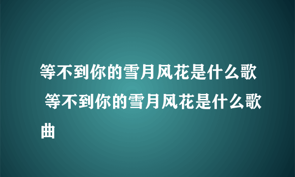 等不到你的雪月风花是什么歌 等不到你的雪月风花是什么歌曲