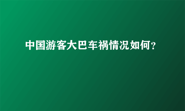 中国游客大巴车祸情况如何？