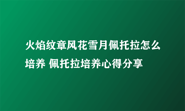 火焰纹章风花雪月佩托拉怎么培养 佩托拉培养心得分享