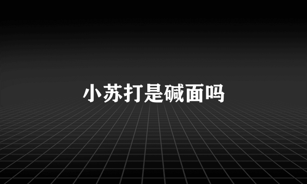 小苏打是碱面吗