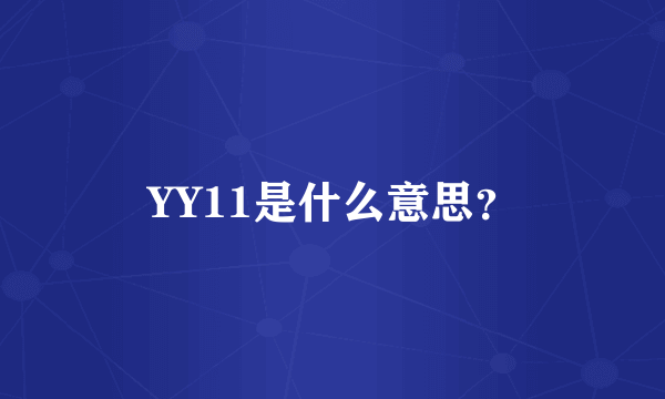 YY11是什么意思？