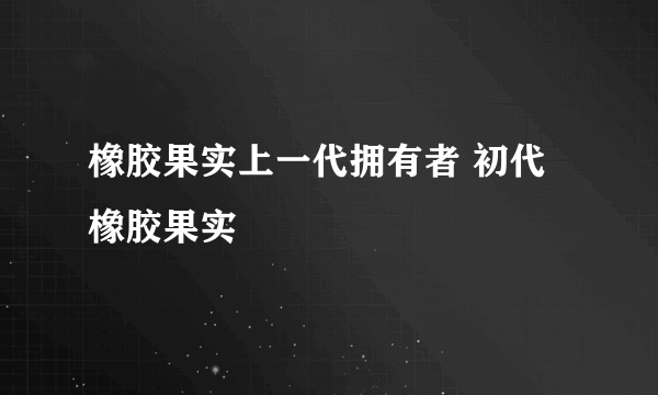 橡胶果实上一代拥有者 初代橡胶果实