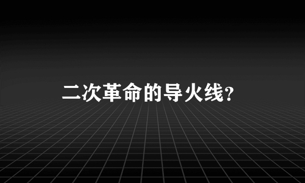 二次革命的导火线？