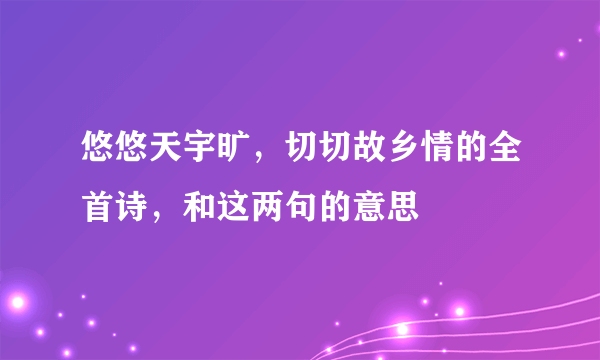 悠悠天宇旷，切切故乡情的全首诗，和这两句的意思