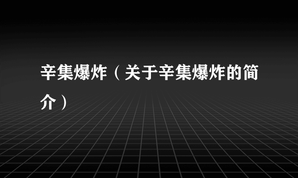 辛集爆炸（关于辛集爆炸的简介）