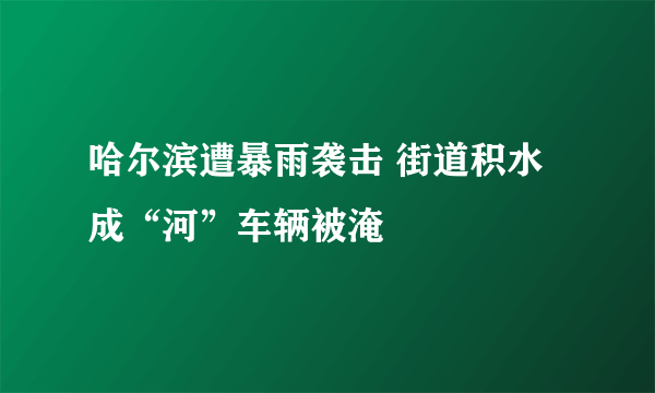 哈尔滨遭暴雨袭击 街道积水成“河”车辆被淹