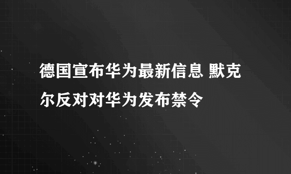 德国宣布华为最新信息 默克尔反对对华为发布禁令