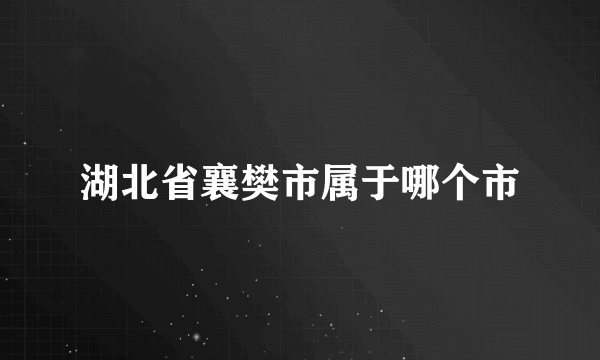 湖北省襄樊市属于哪个市