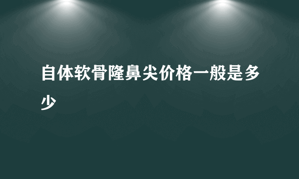 自体软骨隆鼻尖价格一般是多少