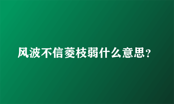 风波不信菱枝弱什么意思？