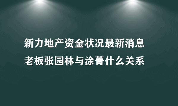 新力地产资金状况最新消息 老板张园林与涂菁什么关系