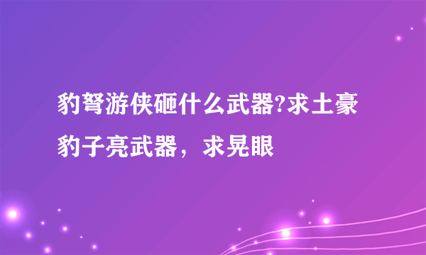 豹弩游侠砸什么武器?求土豪豹子亮武器，求晃眼