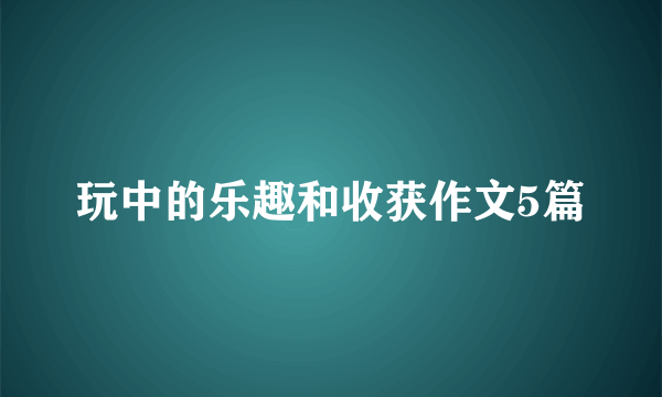 玩中的乐趣和收获作文5篇