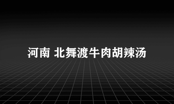 河南 北舞渡牛肉胡辣汤