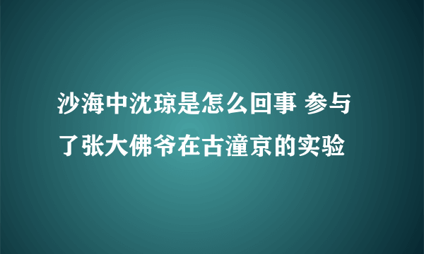 沙海中沈琼是怎么回事 参与了张大佛爷在古潼京的实验