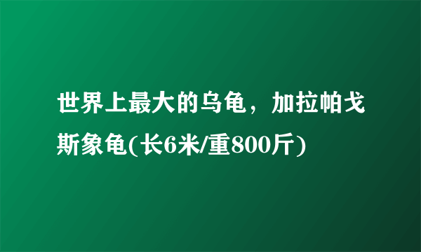 世界上最大的乌龟，加拉帕戈斯象龟(长6米/重800斤)