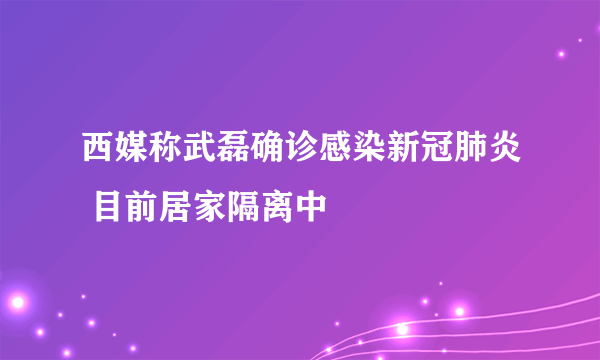 西媒称武磊确诊感染新冠肺炎 目前居家隔离中