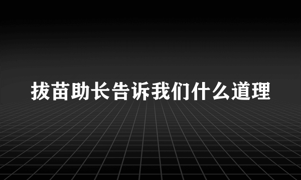 拔苗助长告诉我们什么道理