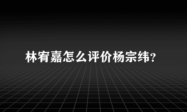 林宥嘉怎么评价杨宗纬？