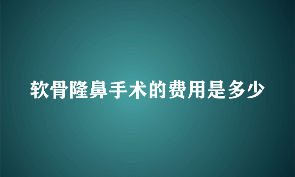 软骨隆鼻手术的费用是多少