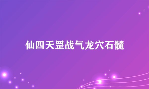 仙四天罡战气龙穴石髓