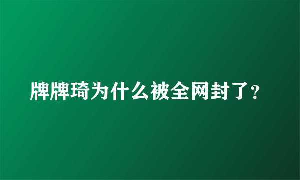 牌牌琦为什么被全网封了？