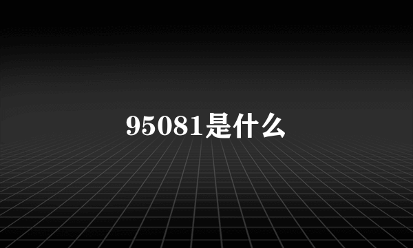 95081是什么