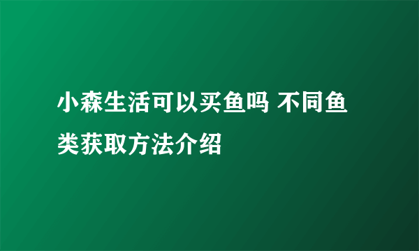 小森生活可以买鱼吗 不同鱼类获取方法介绍