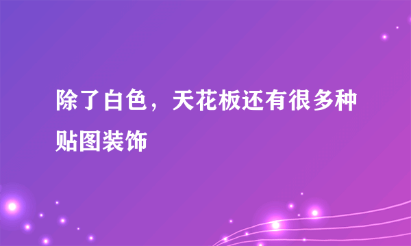 除了白色，天花板还有很多种贴图装饰