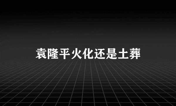 袁隆平火化还是土葬