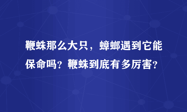 鞭蛛那么大只，蟑螂遇到它能保命吗？鞭蛛到底有多厉害？