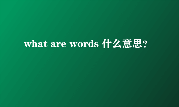 what are words 什么意思？