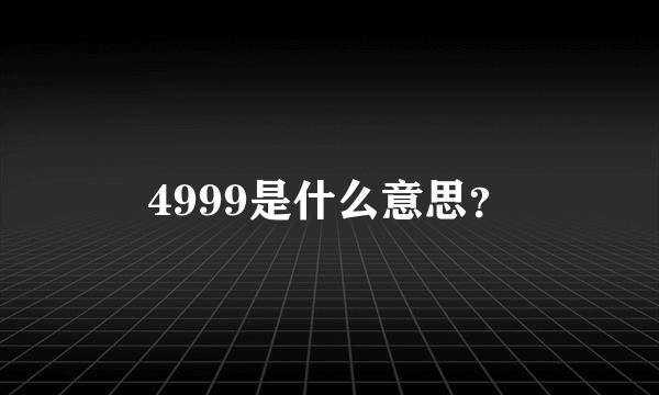 4999是什么意思？