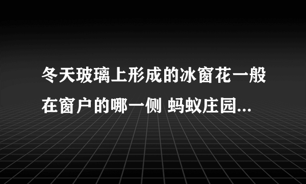 冬天玻璃上形成的冰窗花一般在窗户的哪一侧 蚂蚁庄园今日答案早知道2月10日