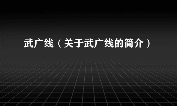 武广线（关于武广线的简介）