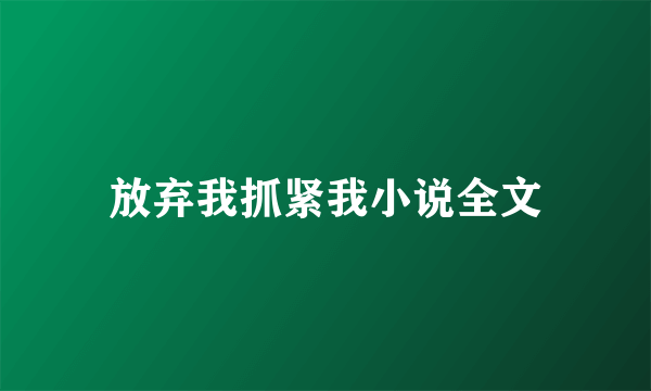 放弃我抓紧我小说全文