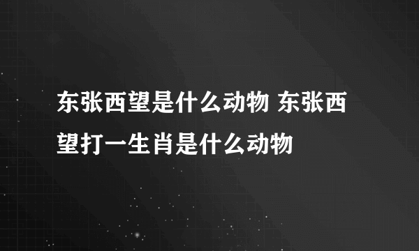 东张西望是什么动物 东张西望打一生肖是什么动物