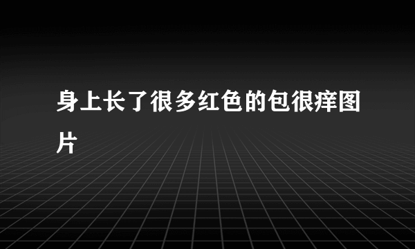 身上长了很多红色的包很痒图片