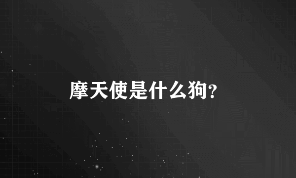 摩天使是什么狗？