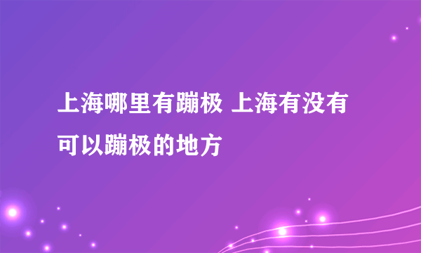 上海哪里有蹦极 上海有没有可以蹦极的地方