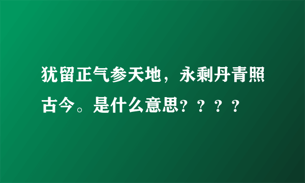 犹留正气参天地，永剩丹青照古今。是什么意思？？？？