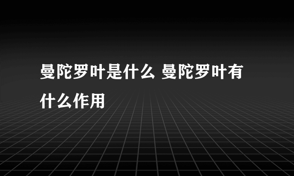 曼陀罗叶是什么 曼陀罗叶有什么作用