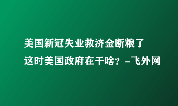 美国新冠失业救济金断粮了 这时美国政府在干啥？-飞外网